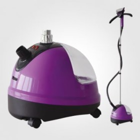 Vertical steam iron