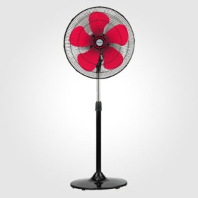 Fan